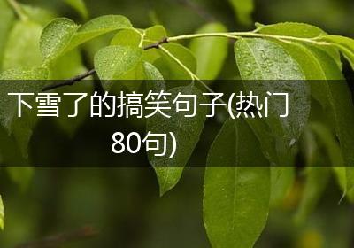 下雪了的搞笑句子(热门80句)