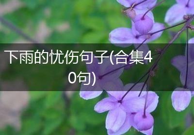 下雨的忧伤句子(合集40句)