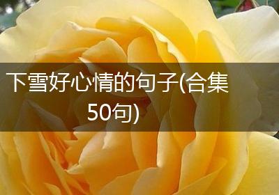下雪好心情的句子(合集50句)