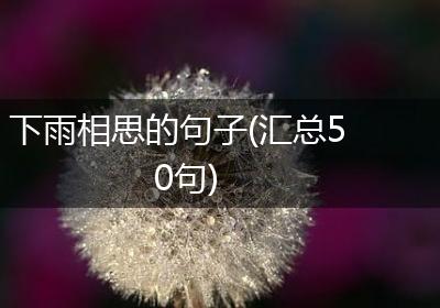 下雨相思的句子(汇总50句)