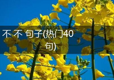 不 不 句子(热门40句)