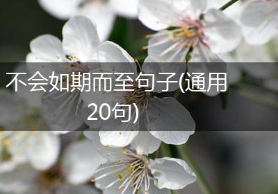 不会如期而至句子(通用20句)