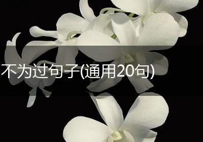 不为过句子(通用20句)