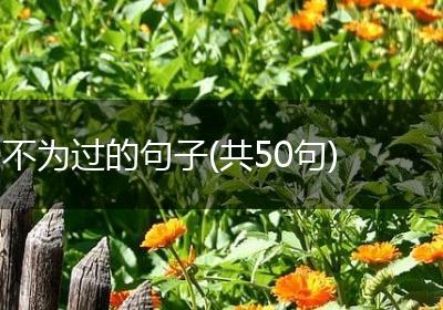 不为过的句子(共50句)