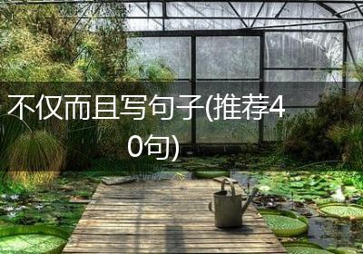 不仅而且写句子(推荐40句)