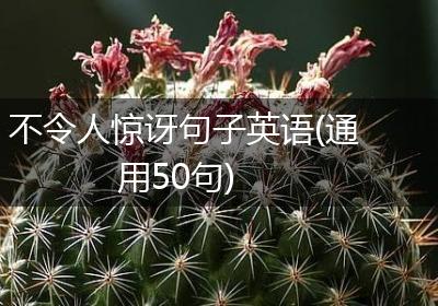 不令人惊讶句子英语(通用50句)