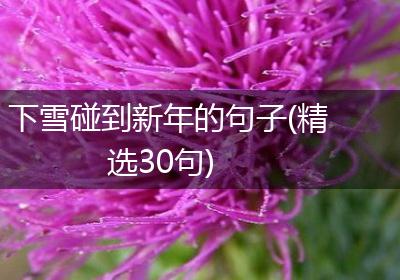 下雪碰到新年的句子(精选30句)