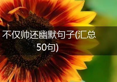 不仅帅还幽默句子(汇总50句)