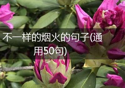 不一样的烟火的句子(通用50句)
