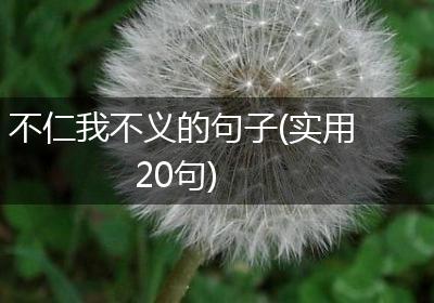 不仁我不义的句子(实用20句)