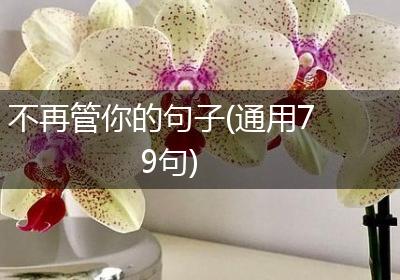 不再管你的句子(通用79句)