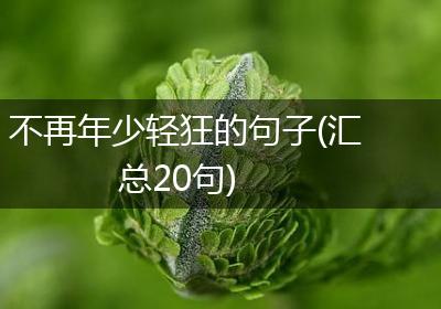 不再年少轻狂的句子(汇总20句)