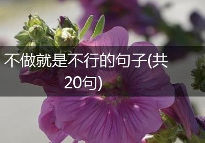 不做就是不行的句子(共20句)
