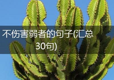 不伤害弱者的句子(汇总30句)