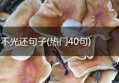 不光还句子(热门40句)