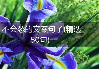 不会怂的文案句子(精选50句)