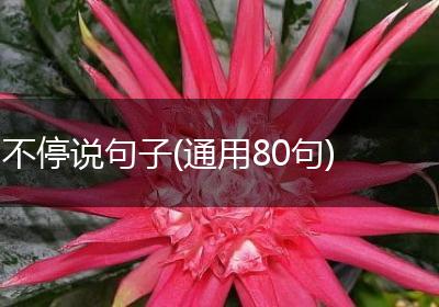 不停说句子(通用80句)