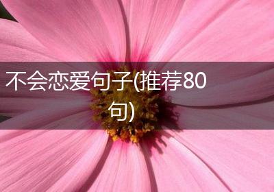 不会恋爱句子(推荐80句)