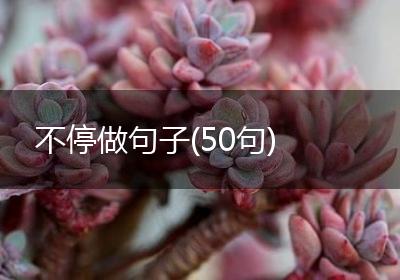 不停做句子(50句)