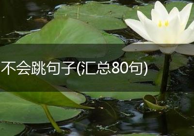 不会跳句子(汇总80句)