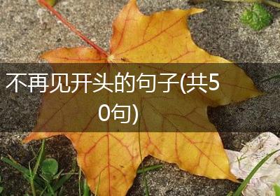 不再见开头的句子(共50句)