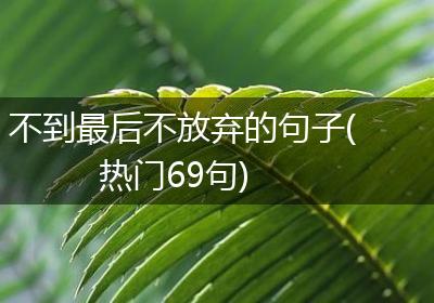不到最后不放弃的句子(热门69句)