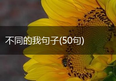 不同的我句子(50句)