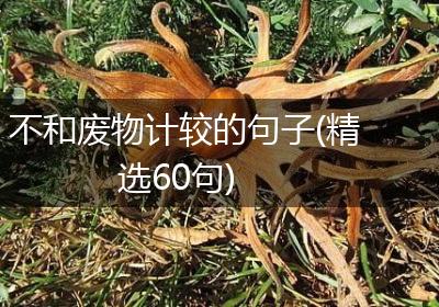 不和废物计较的句子(精选60句)