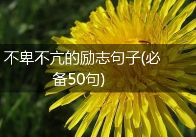 不卑不亢的励志句子(必备50句)