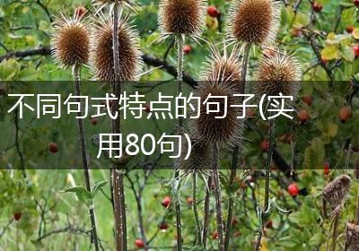 不同句式特点的句子(实用80句)