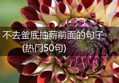 不去釜底抽薪前面的句子(热门50句)