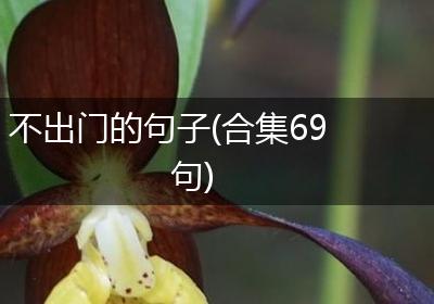 不出门的句子(合集69句)