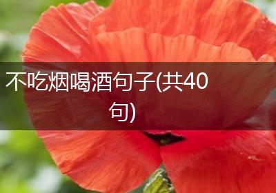 不吃烟喝酒句子(共40句)