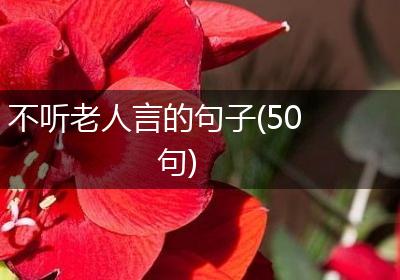 不听老人言的句子(50句)