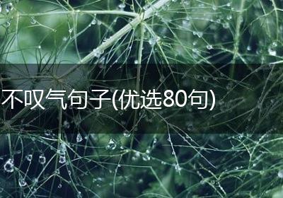 不叹气句子(优选80句)