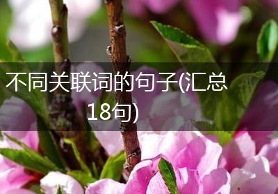 不同关联词的句子(汇总18句)