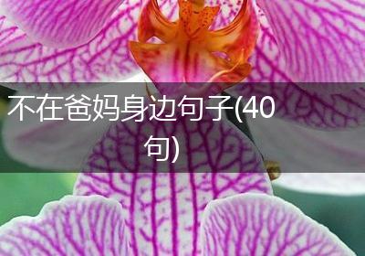 不在爸妈身边句子(40句)