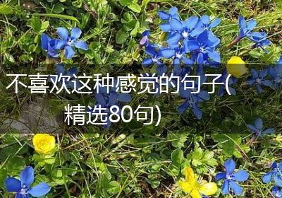 不喜欢这种感觉的句子(精选80句)
