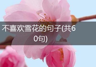 不喜欢雪花的句子(共60句)