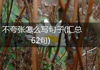 不夸张怎么写句子(汇总62句)