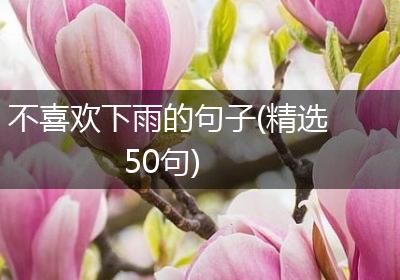 不喜欢下雨的句子(精选50句)