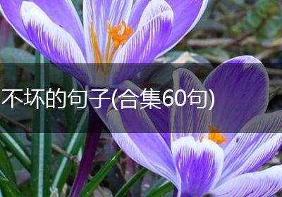 不坏的句子(合集60句)