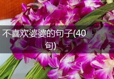 不喜欢婆婆的句子(40句)
