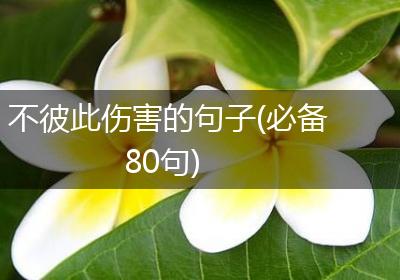 不彼此伤害的句子(必备80句)