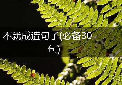 不就成造句子(必备30句)