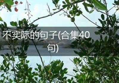不实际的句子(合集40句)