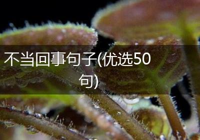 不当回事句子(优选50句)