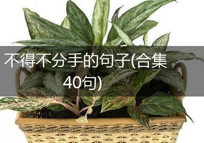 不得不分手的句子(合集40句)