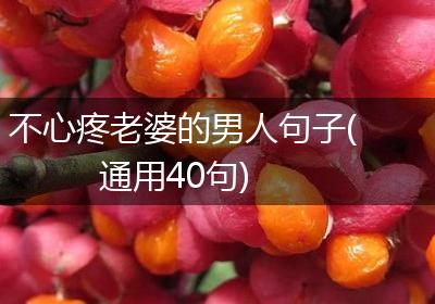 不心疼老婆的男人句子(通用40句)