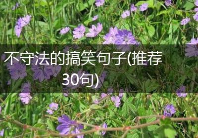不守法的搞笑句子(推荐30句)
